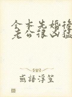 全本先婚后爱:老公很凶猛