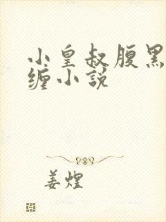 小皇叔腹黑又难缠小说