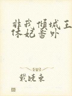 非我倾城王爷要休妃番外