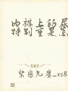 内裤上的尿骚味特别重是怎么回事