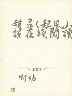 赵寻(起风)小说在线阅读