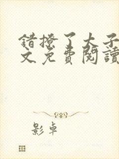 错撩了太子后全文免费阅读