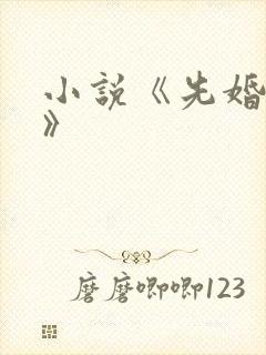 小说《先婚后爱》