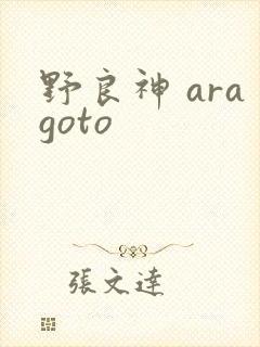 野良神 aragoto