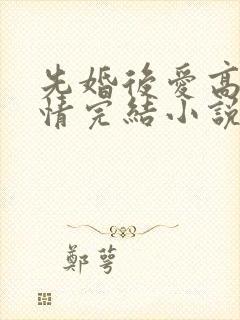 先婚后爱高干言情完结小说