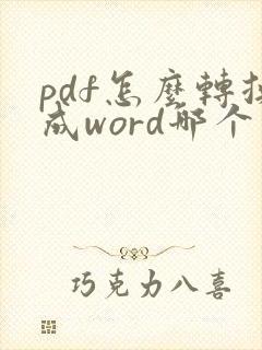pdf怎么转换成word哪个软件好用