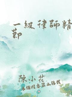 一级律师精彩章节