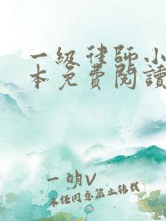 一级律师小说全本免费阅读