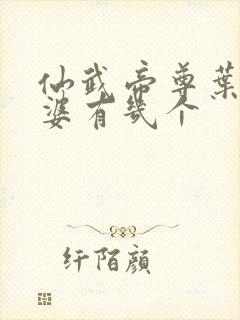 仙武帝尊叶辰老婆有几个