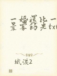 一婚还比一婚高晨雾的光txt