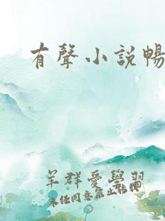 有声小说畅听网