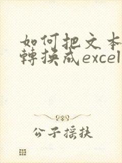 如何把文本文档转换成excel