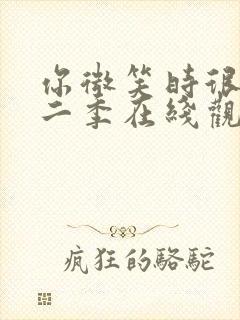 你微笑时很美第二季在线观看