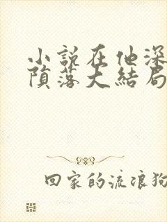 小说在他深情中陨落大结局