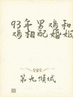 93年男鸡和女鸡相配婚姻如何