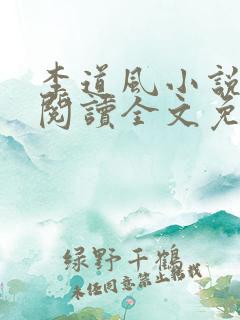 李道风小说在线阅读全文免费无弹窗