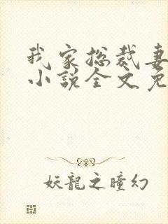 我家总裁妻管严小说全文免费阅读