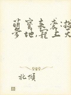 萌宝来袭:总裁爹地,宠上天小说