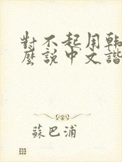 对不起用韩语怎么说中文谐音