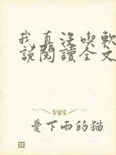我真没吃软饭小说阅读全文