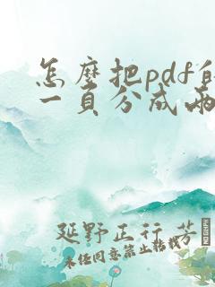 怎么把pdf的一页分成两页