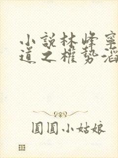 小说林峰宁欣官道之权势滔天