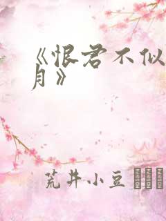 《恨君不似江楼月》