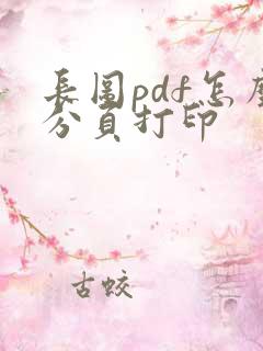 长图pdf怎么分页打印