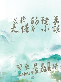 《我的徒弟都是大佬》小说