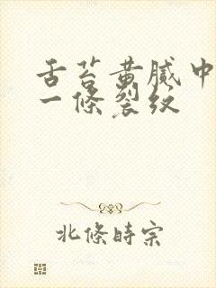 舌苔黄腻中间有一条裂纹