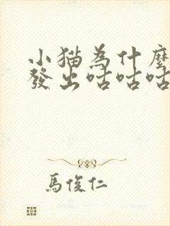 小猫为什么一直发出咕咕咕的声音