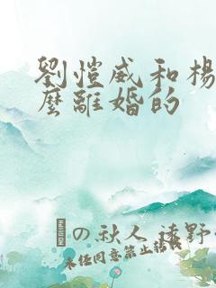 刘恺威和杨幂怎么离婚的