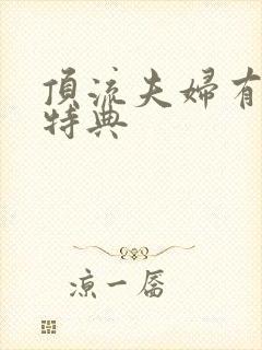 顶流夫妇有点甜特典