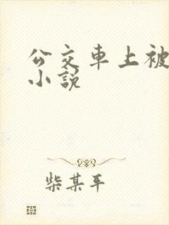 公交车上被淫奸小说