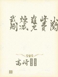 武炼巅峰小说无删减免费阅读