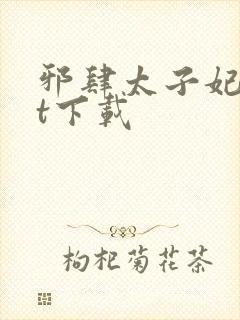 邪肆太子妃txt下载