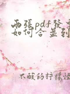 两张pdf发票如何合并到一页打印
