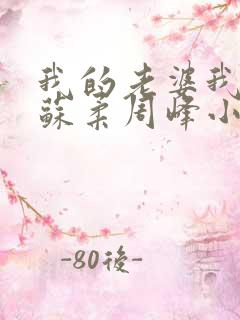 我的老婆我的妻苏柔周峰小说