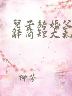 儿子结婚父亲致辞简短大气