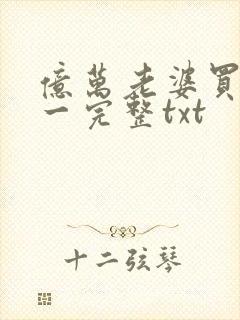亿万老婆买一送一完整txt
