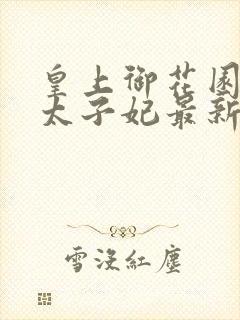 皇上御花园宠幸太子妃最新章节