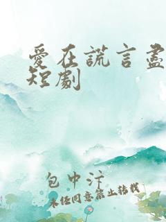 爱在谎言尽头时短剧
