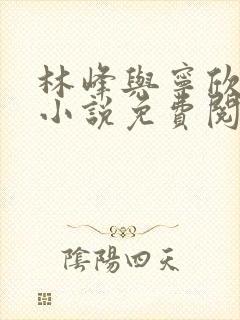 林峰与宁欣正版小说免费阅读官道之权势滔天