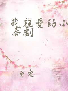 我亲爱的小冤家泰剧