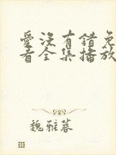 爱没有错免费观看全集播放