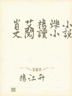 肖艾杨烁小说全文阅读小说
