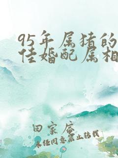 95年属猪的最佳婚配属相