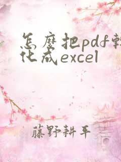 怎么把pdf转化成excel