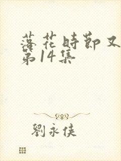 落花时节又逢君第14集