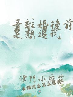 看离婚后前夫总是想追我
